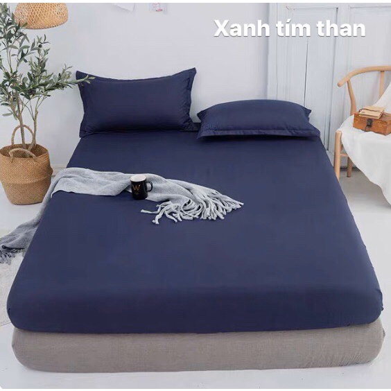Sét ga gối cotton Tici phong cách Hàn Quốc mềm mịn mát