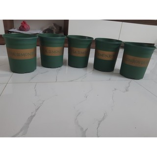 CHẬU MONROVIA 1GAL