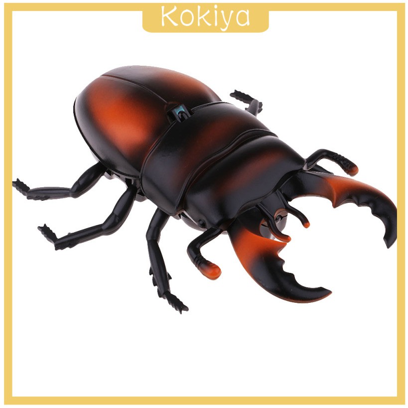 Trang trí tiệc Halloween Đồ chơi bọ cánh cứng RC đáng sợ cho trẻ em Trò vui nhộn