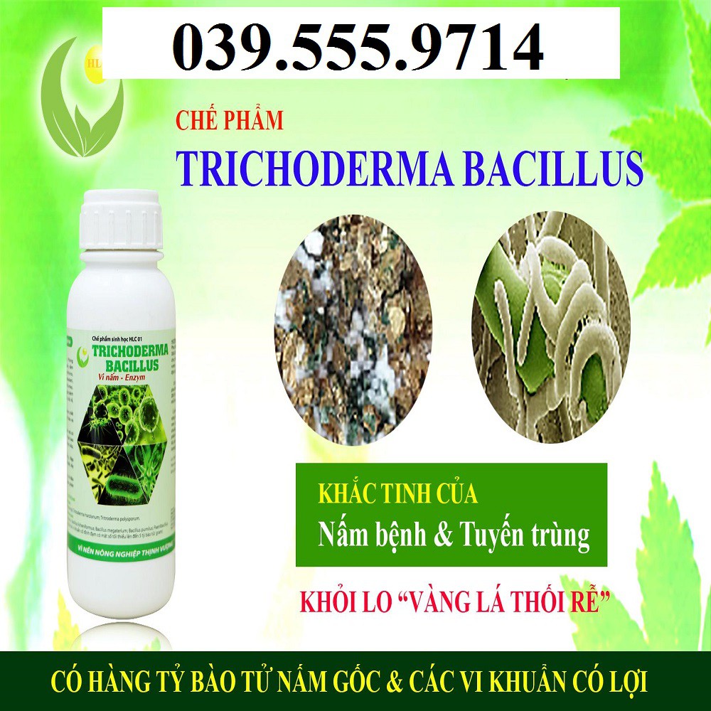 Chế Phẩm Trồng Lan Trichoderma bacillus - Ức chế nấm, vi khuẩn, tuyến trùng ( chai 110ml)