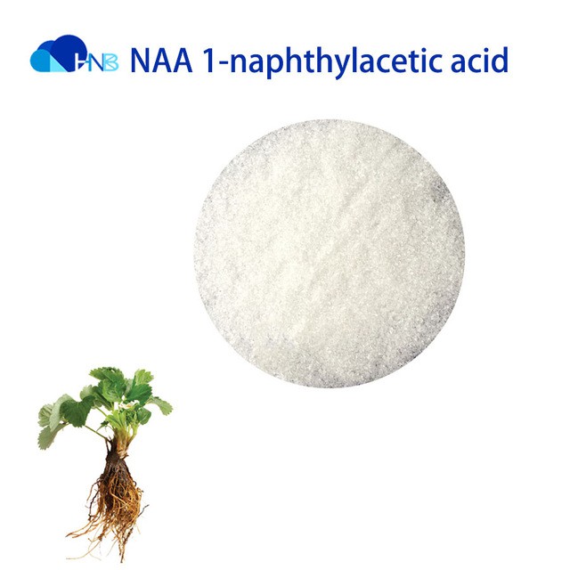 Chất kích rễ siêu mạnh Naa Ấn Độ 99% túi 100g Naphthalene Axit Acetic - Naphthaleneacetic acid