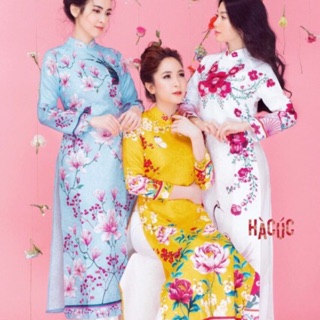 Set áo gấm Hà cúc