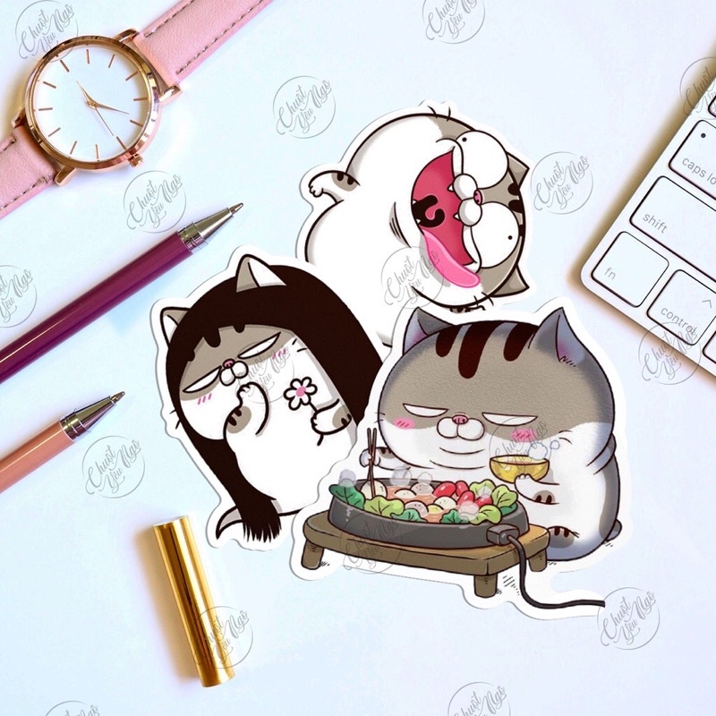 Sticker Ami/bụng bự dễ thương trang trí nón bảo hiểm xe máy hình dán chống thấm nước NT 01