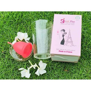 CỐC NGUYỆT SAN SIBELL_ NHẬP KHẨU PHÁP
