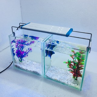 Bể cá mini để bàn combo 2 bể có đèn led