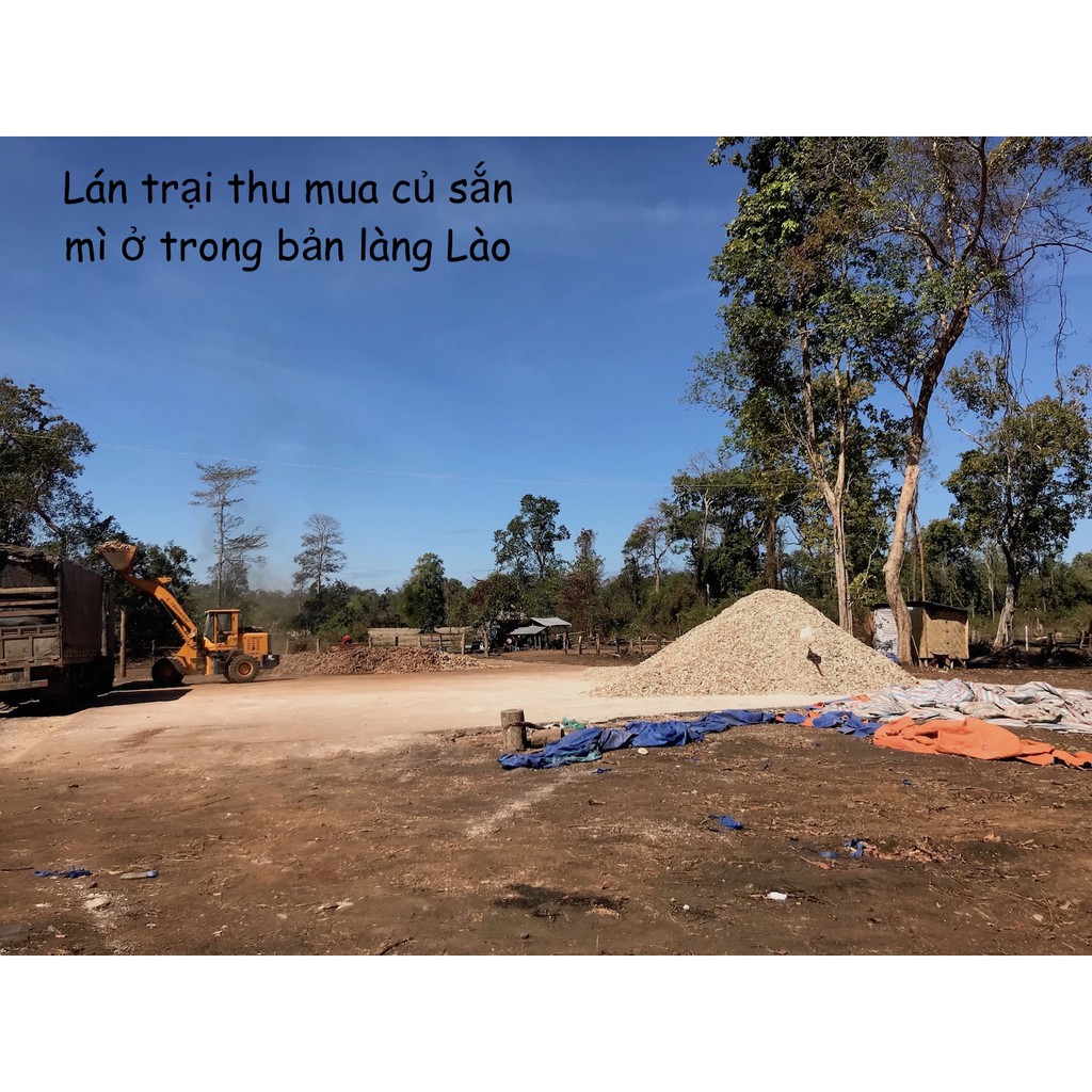 MẬT ONG RỪNG XỊN 100% MÙA 2019