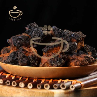 NẤM CHAGA 100G - HẠ ĐƯỜNG HUYẾT, GIẢM MỠ MÁU - Trà thảo mộc Daystea