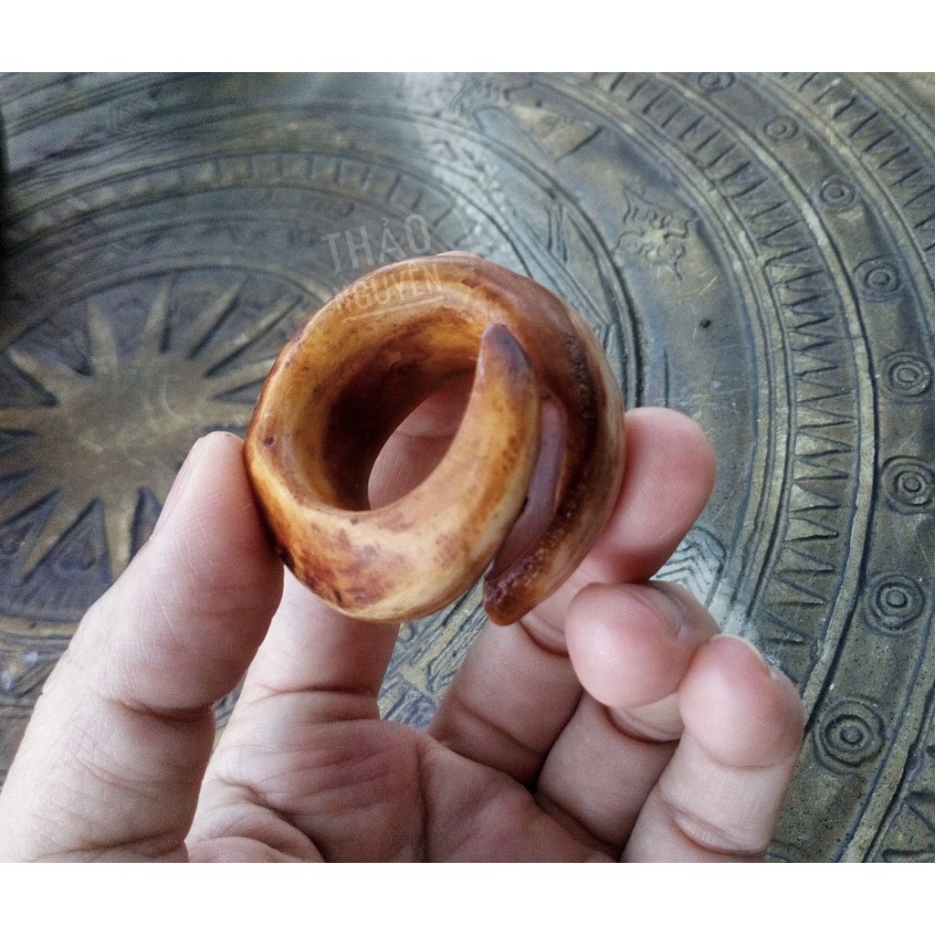 Nhẫn nanh heo nhân tạo độc lạ