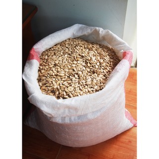 ĐẠI LÝ: 1KG HẠT BÍ RANG