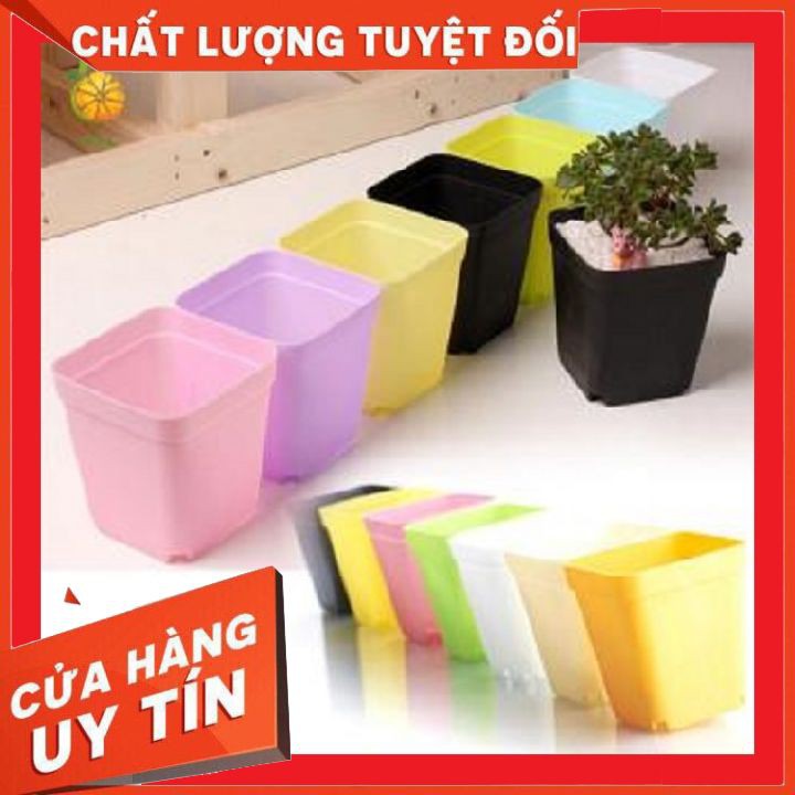 Chậu nhựa 7 x 7 cm kèm đĩa lót❌ FREE SHIP ❌  trồng sen đá, xương rồng