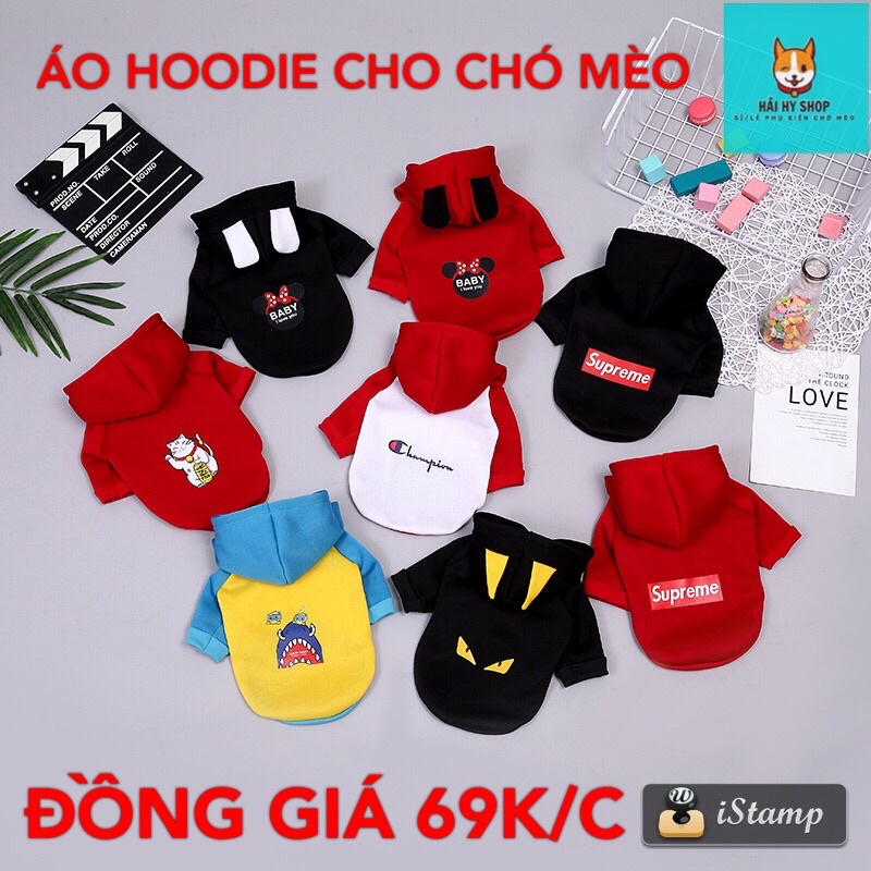 Áo nỉ dáng Hoodie thu đông của Chó Mèo