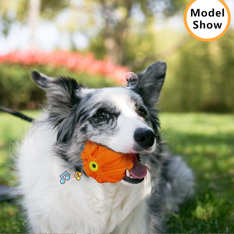 Đồ chơi bóng cao su HAMSHMOC có âm thanh huấn luyện thú cưng