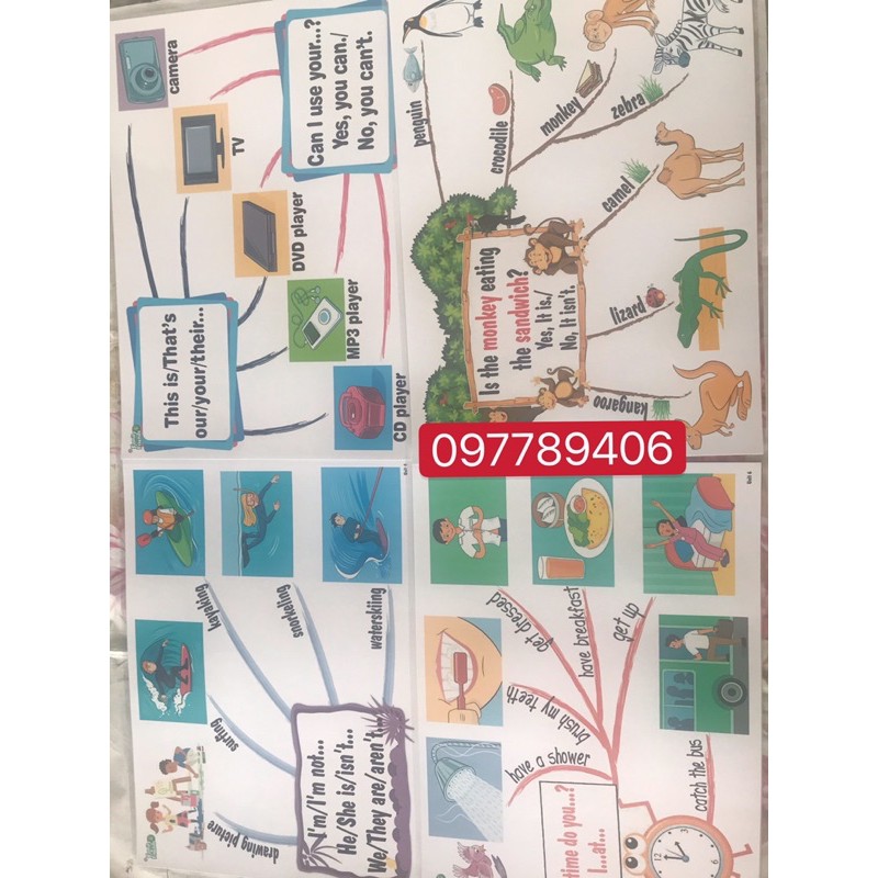 Mindmap sơ đồ tư duy Family and Friends Special 4-  kích thước  A3-ép plastics