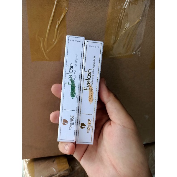 Bộ Dưỡng Dài mi ngày và Đêm Phương Anh