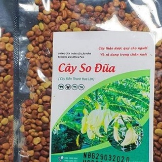 Giống Cây So Đũa (Gói 150-160 hạt)
