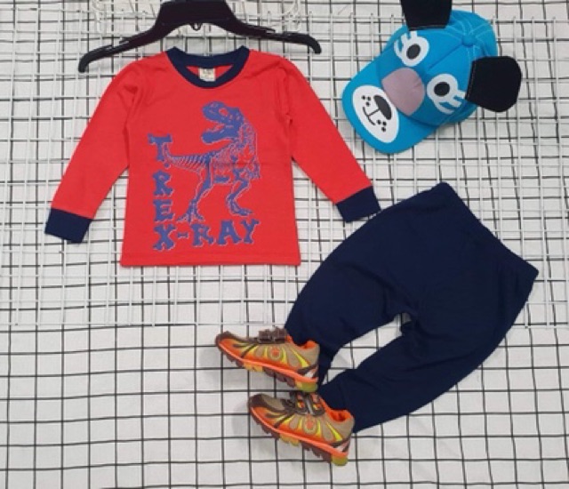 Bộ dài tay thu đông bé trai 9-20 cotton 4c sài gòn(ảnh thật toàn bộ)
