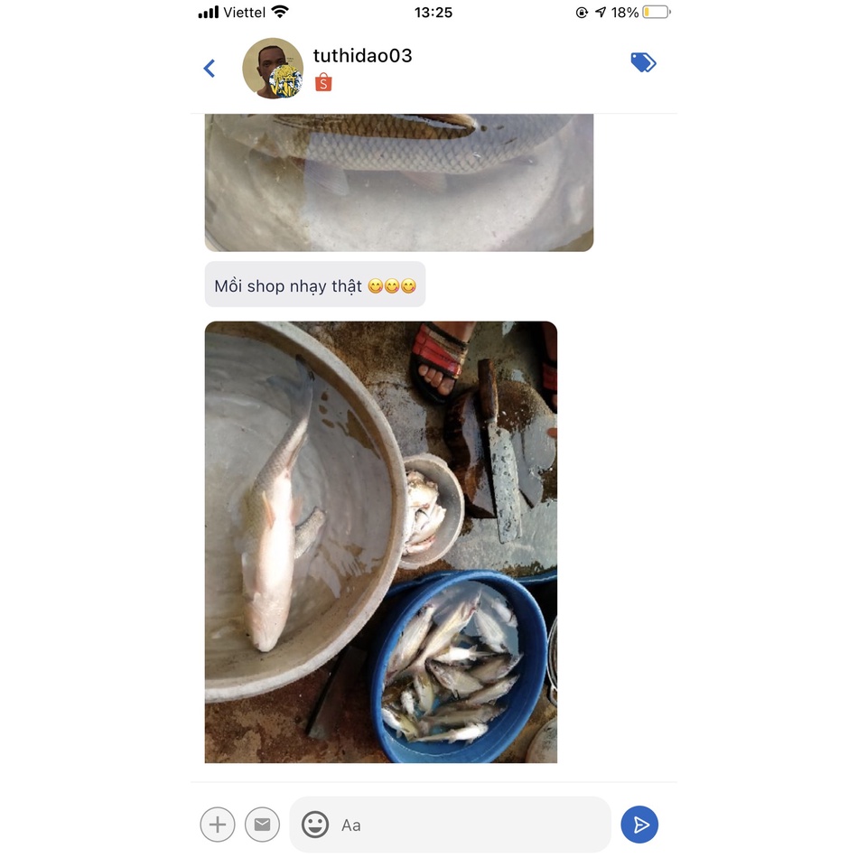 Mồi Câu Cá Ủ RÔ THIÊN MINH 250g Siêu Hot 2021 | 100% Nguyên liệu Việt - Vũ Môn Fishing