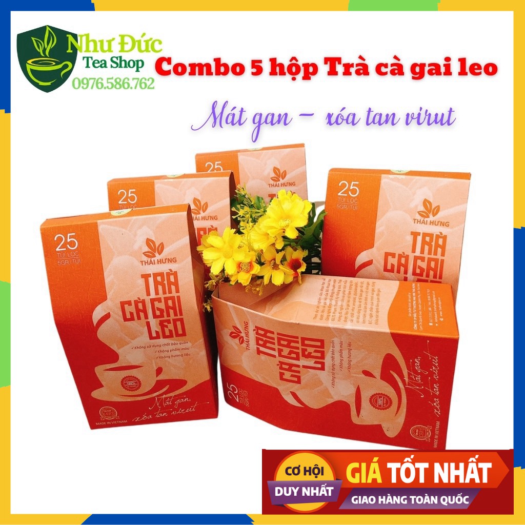 [Combo 05 hộp] Cà Gai Leo Thái Gưng Giải Độc Gan, Hết Mụn Nhọt Mẩn Ngứa