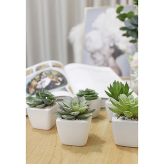 [KÈM CHẬU] Sen đá nhân tạo , sen đá giả mini để bàn văn phòng , bàn làm việc