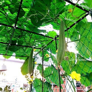 ĐẤT TRỒNG RAU NAMIX