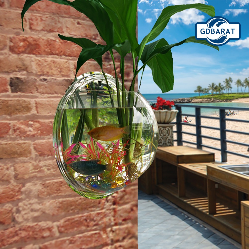 Bình Hoa Treo Tường Bằng Nhựa Acrylic Trong Suốt Thiết Kế Sáng Tạo Độc Đáo