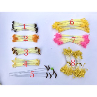 Nhuỵ nhị hoa giả (5 tép)