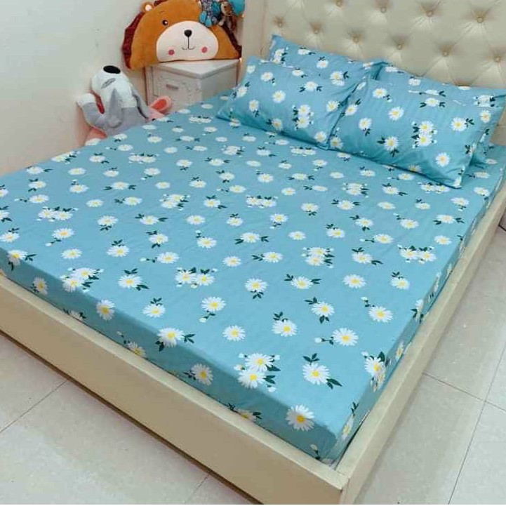 Bộ ga gối poly cotton nhiều mẫu và kích thước, drap chun bọc nệm (được chọn mẫu)