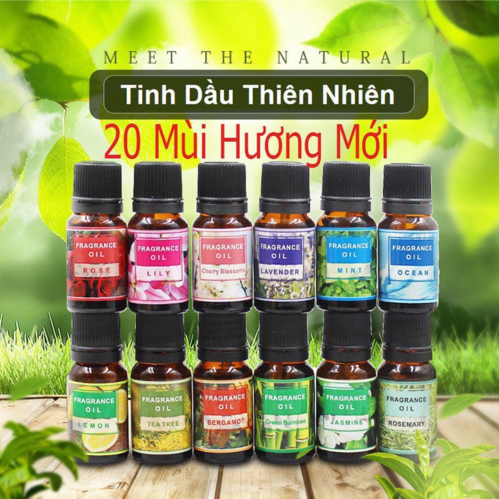 Tinh Dầu Thiên Nhiên Hãng FraGrance 10ml Nguyên Chất Nhiều Mùi Thơm Phòng Giúp Bạn Thư Giãn Sảng Khoái Mỗi Ngày