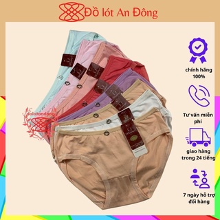 Quần lót nữ cotton học sinh co giãn 4 chiều thoáng mát, combo 5 cái, 35 đến 48kg, đồ lót an đông, qltkyce