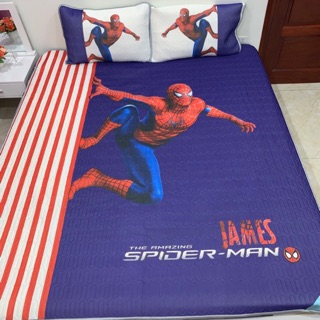 Chiếu điều hoà tencel mủ cao su non 5D 2mx2m2 mẫu siêu nhân