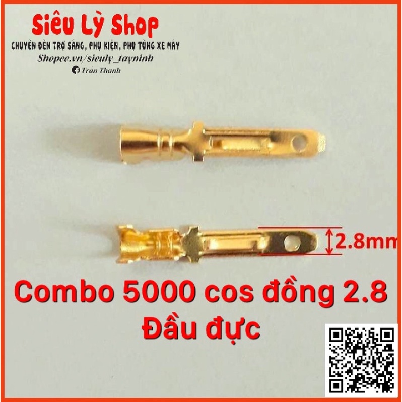 Combo 5000 Cos đồng 2.8 cho xe máy - Đầu đực