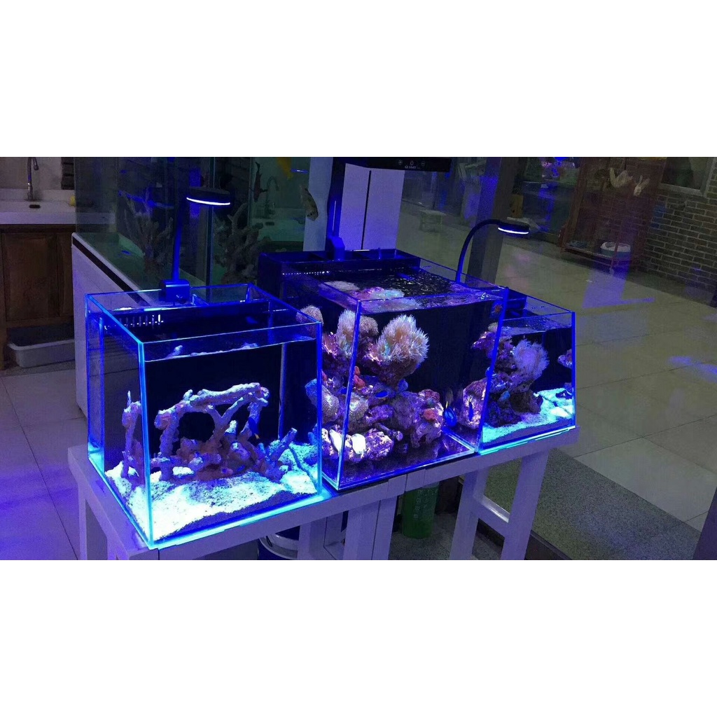 Đèn nước biển 030 052 Q2-B LED CHO CÁ CẢNH