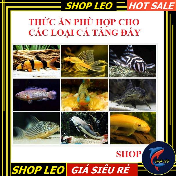 Thức ăn Pleco Hikari - Thức ăn chuyên dụng cho cá tầng đáy - Pleco - Cá săn mồi - Cám Hikari - cám Nhật - shopleo