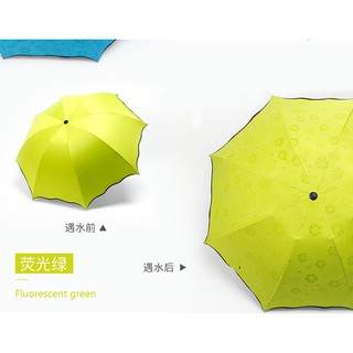 Ô gấp “Gặp nước Nở Hoa”