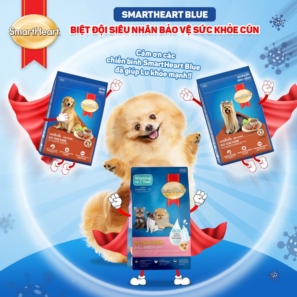 Combo 5 túi hạt 400g Smartheart cho chó trưởng thành vị bò - Lida Pet Shop