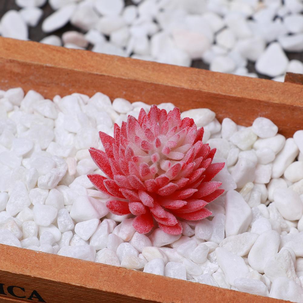 PINEVN 1 Cây Xương Rồng Giả Trang Trí