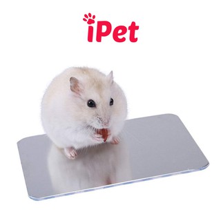 Phụ Kiện Miếng Tản Nhiệt Làm Mát Chuồng Cho Hamster - iPet Shop
