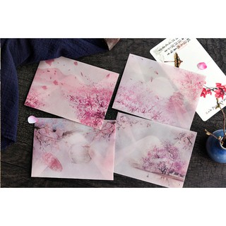 Bao thư giấy scan mờ - Room17vn