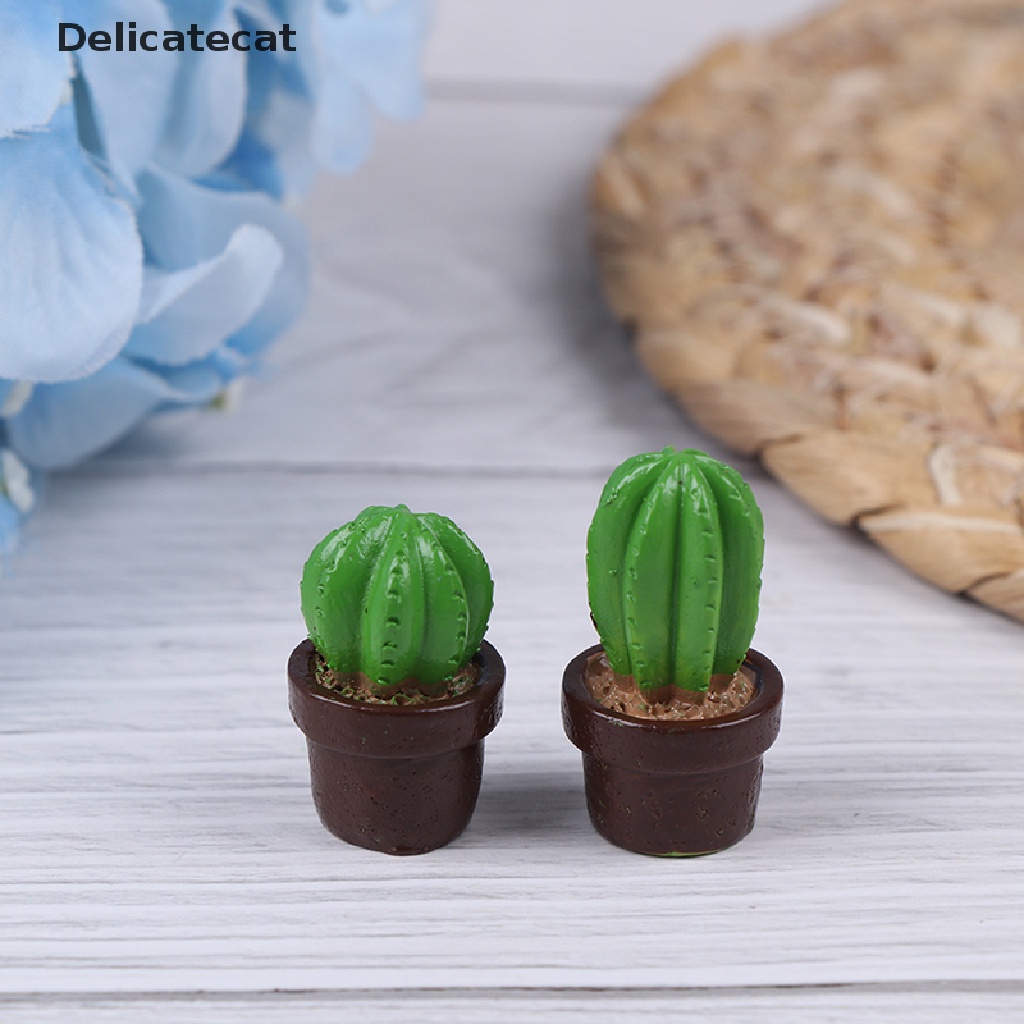Bộ 5 mô hình cây xương rồng mini bằng nhựa thiết kế chân thực