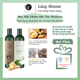 Dầu gội xả ngăn rụng tóc weilaiya, dau goi gừng lành tính chăm sóc ngăn ngừa gàu kích mọc tóc nấm da đầu 400ml
