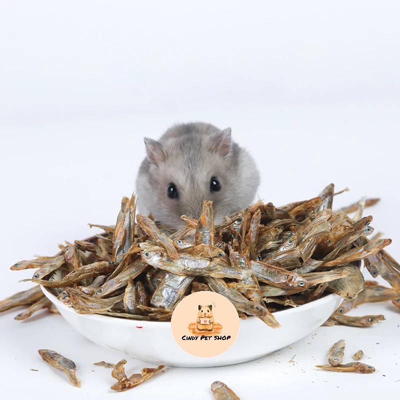 Cá sấy khô nguyên con cho Hamster
