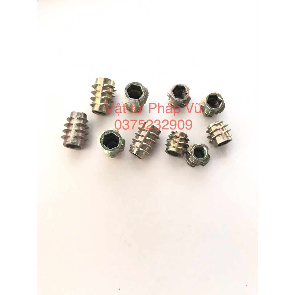 Ốc cấy, sò cấy - ĐỦ KÍCH THƯỚC - không vành, không tai - tán cấy
