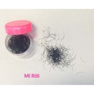 Mi rời ❤️❤️ lông mi nối dạng rời 0.12 - 0.15