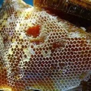 1400g mật ong rừng ong khoái nguyên chất bán lẻ giá sỉ