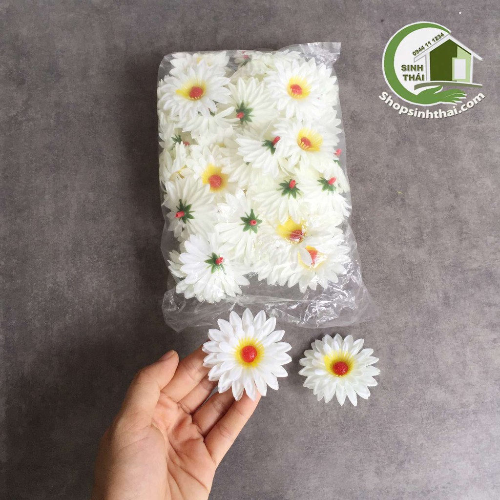 Bịch hoa cúc trắng 25 bông
