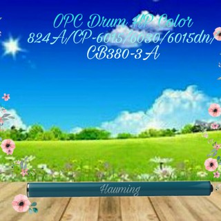 Bộ 824A CP6015 CP6030 CP6040 CP6015N CP-6015 6030 6040 CB380A CB381A CB832A