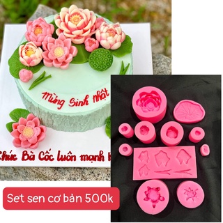 COMBO SET SEN HOA SEN CƠ BẢN SET 5