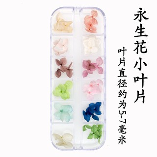 Hoa khô ẩn gel khay dài