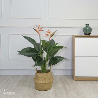 [COMBO CÂY GIẢ TẶNG KÈM GIỎ CÓI] CÂY THIÊN ĐIỂU GIẢ - LANDECOR