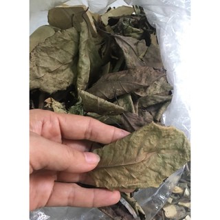 CÂY XẠ ĐEN - 1KG